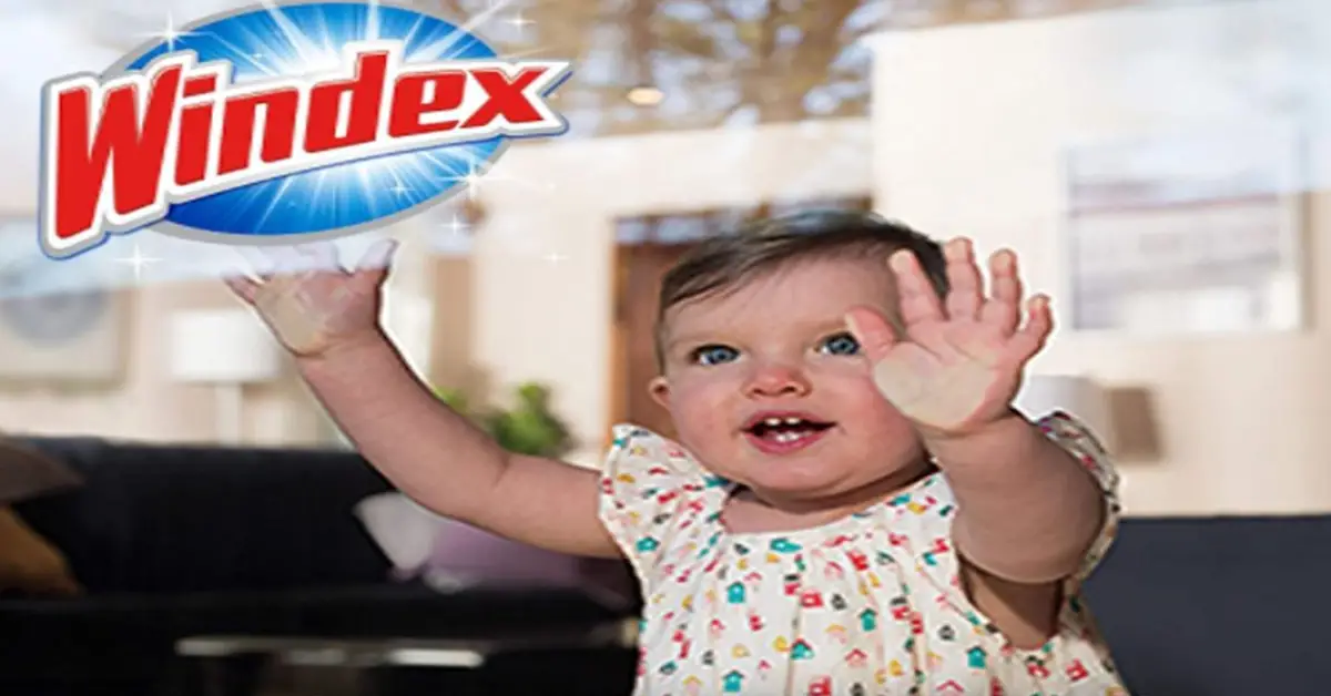 Cleaning Car Windows With Windex Review [2021] Auto