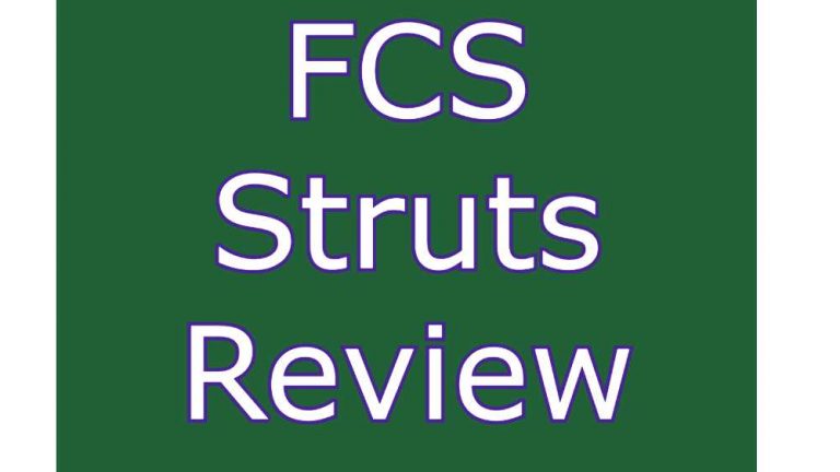 FCS Struts Review