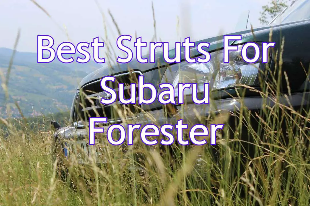 Best Struts For Subaru Forester