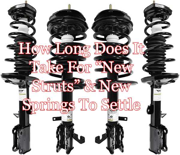 How Long Does It Take For “New Struts” To Settle?